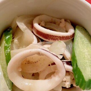 イカとお野菜のサラダ